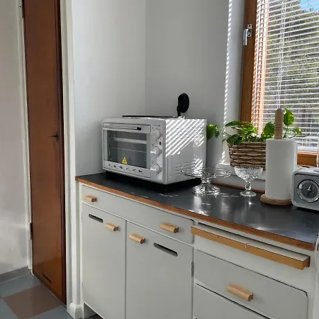 Aalto Sunila Honkala 2